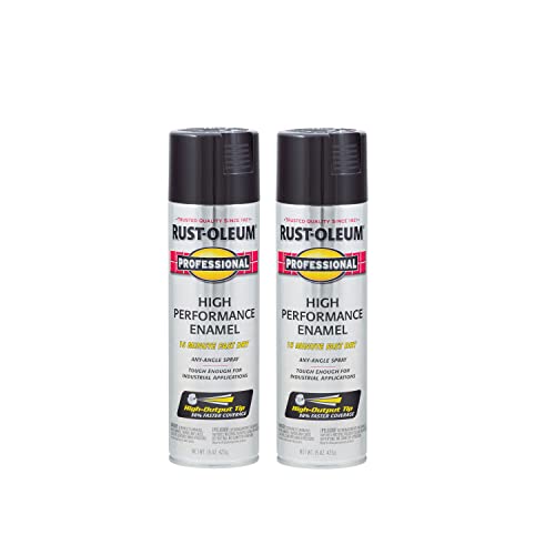 Professional High Performance Gloss Black Spray Paint (Gloss Black / 15 Ounce (Pack of 2))