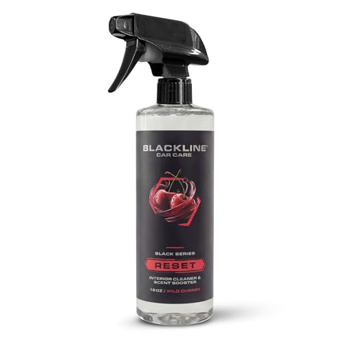 Reset Interior Car Cleaner & Deodorizer Spray (16 Fl Oz (Pack of 1))