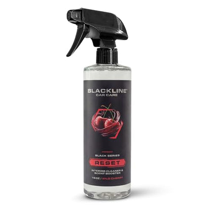 Reset Interior Car Cleaner & Deodorizer Spray (16 Fl Oz (Pack of 1))