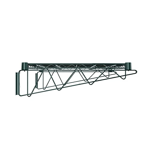 24" x 24" Green Epoxy Wire Wall Mount Shelf (Green / 24" x 24")