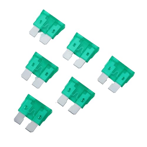 100 Pack Auto Fuses 30 AMP ATC (30 AMP)