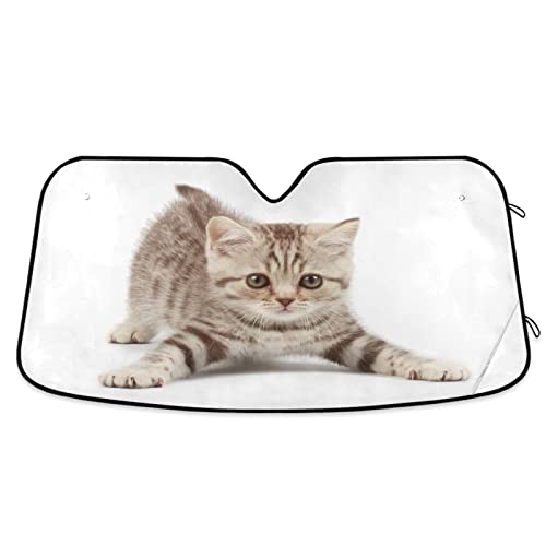 Car Windshield Sun Shade Funny Kitten Cat Foldable Car Front Windshield Sunshade Blocks UV Rays Sun Visor Sun Heat Protection for Car Truck SUV to Keep Your Vehicle Cool (Medium / Funny Kitten Cat)