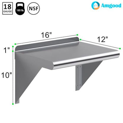 12" X 16" Stainless Steel Wall Shelf (16 in. x 12 in.)