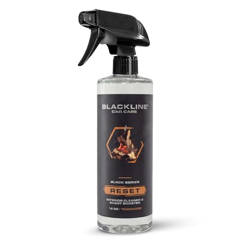 Reset Interior Car Cleaner & Deodorizer Spray (16 Fl Oz (Pack of 1))