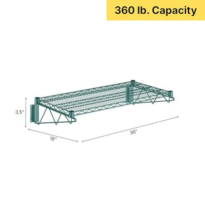 18" x 36" Green Epoxy Wire Wall Mount Shelf (Green / 18" x 36")