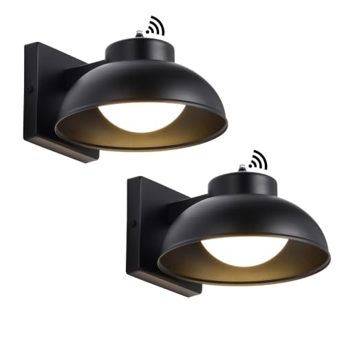 Black Exterior Light Fixtures (Black)
