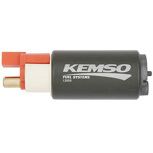 Fuel Pump for Ski (13808-004)