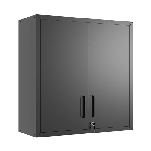 Wall Mounted Metal Storage Cabinet (Black / H30.31" - 2 Doors)