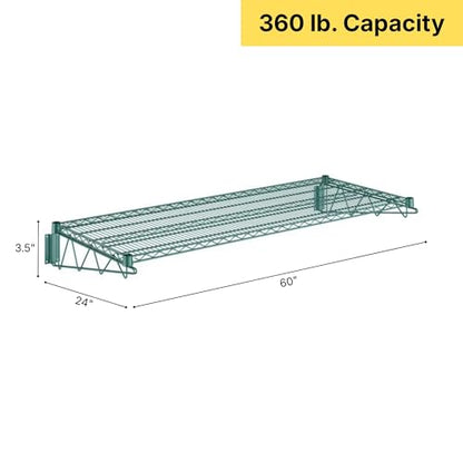 24" x 60" Green Epoxy Wire Wall Mount Shelf (Green / 24" x 60")