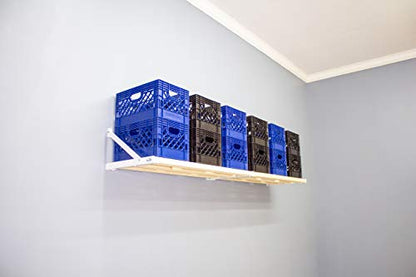 RhinoMini Universal Garage Storage Kit (8-ft Length x 20-in Depth)
