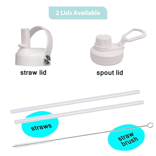 32oz Water Bottle Wide Mouth Stainless Steel Vacuum Insulated Double Wall with 2 Straw Lids Fit in Any Car Cup Holder TXIN (White&Voilet / 32 Ounces)