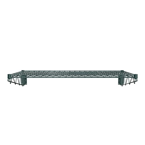 24" x 48" Green Epoxy Wire Wall Mount Shelf (Green / 24" x 48")