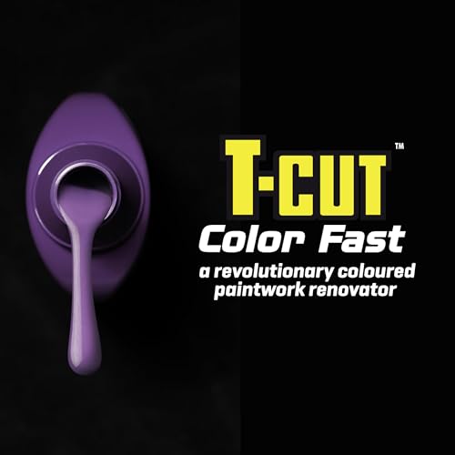 Color Fast 3 in (Purple / 17 fl oz (Pack of 1))