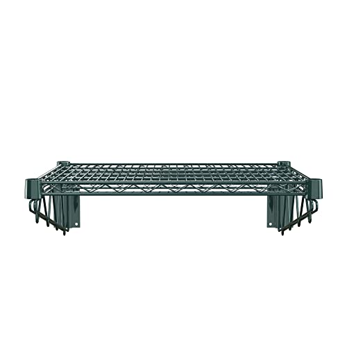 24" x 24" Green Epoxy Wire Wall Mount Shelf (Green / 24" x 24")