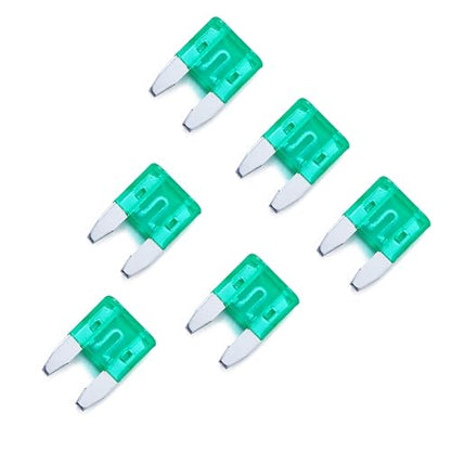 100 Pack Auto Fuses 30 AMP APM (30 AMP)