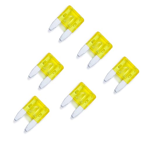 100 Pack Auto Fuses 20 AMP APM (20 AMP)