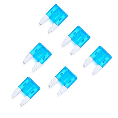 100 Pack Auto Fuses 15 AMP APM (15 AMP)