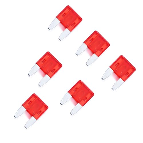 100 Pack Auto Fuses 10AMP APM (10 AMP)