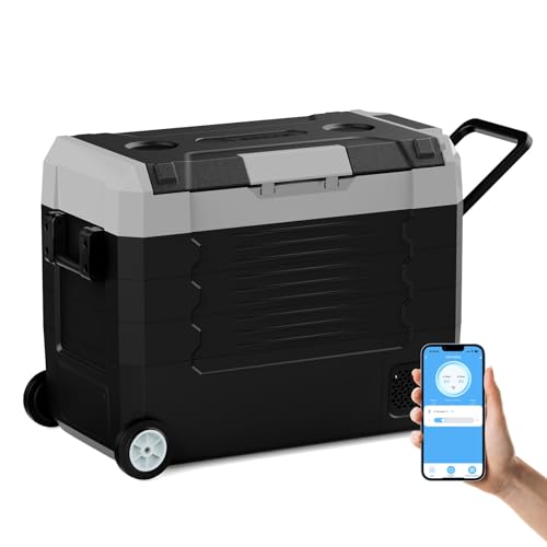 58QT Car Refrigerator 12 (58QT)