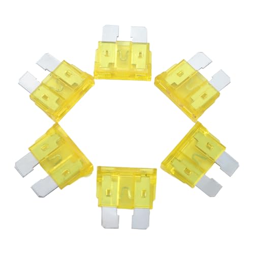 100 Pack Auto Fuses 20 AMP ATC (20 AMP)