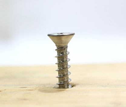 8 X 1'' Stainless Flat Head Phillips Wood Screw (#8 X 1'')