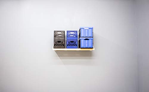 RhinoMini Universal Garage Storage Kit (4-ft Length x 20-in Depth)