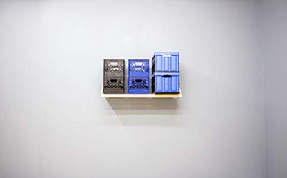 RhinoMini Universal Garage Storage Kit (4-ft Length x 20-in Depth)