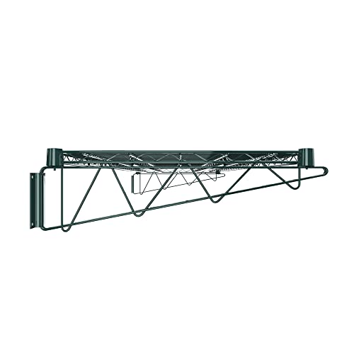 24" x 60" Green Epoxy Wire Wall Mount Shelf (Green / 24" x 60")