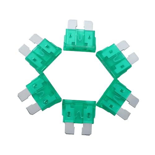 100 Pack Auto Fuses 30 AMP ATC (30 AMP)