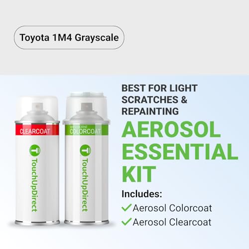 Car Paint Touch Up Spray Kit (Aerosol Spray - Essential Kit / Grayscale)