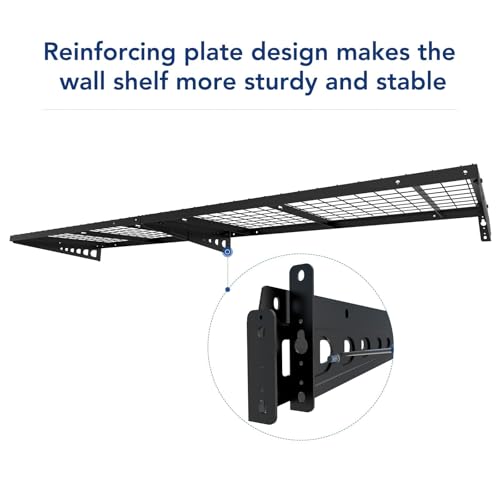 2x4ft Garage Storage (Black / 2 pack-2x4 ft)