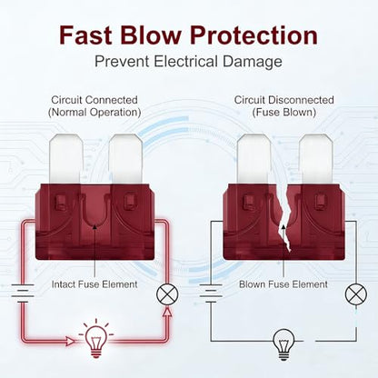 80Pcs) 40 Amp Standard Fuse, 40A Car Blade Fuses for Car/RV/Truck/SUV/Motorcycle/Boat (40A)