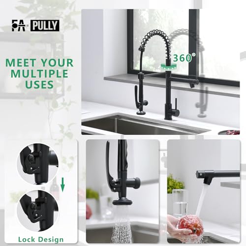 Black Kitchen Faucet (Matte Black)