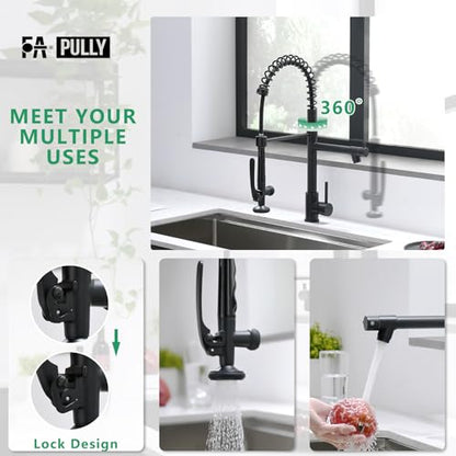 Black Kitchen Faucet (Matte Black)