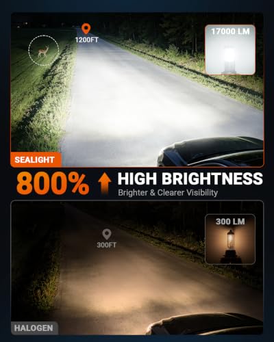 H10 LED Fog Light Bulbs (White / H10)