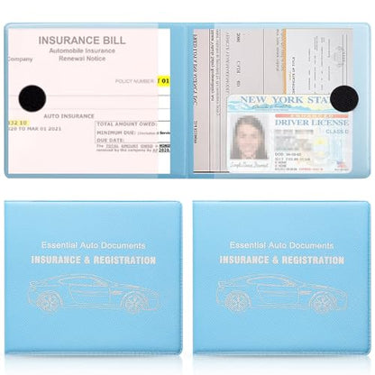 Car Registration and Insurance Card Holder (Mesh Texture Light blue)