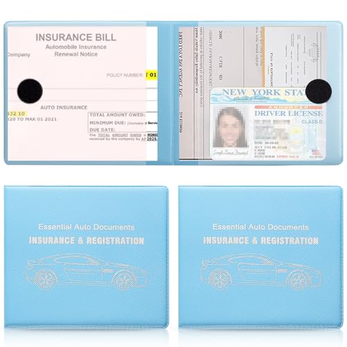 Car Registration and Insurance Card Holder (Mesh Texture Light blue)