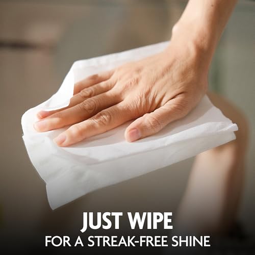 Ammonia Free Glass and Window Cleaning Wipes (25 Count (Pack of 1) / Ammonia Free Wipes)