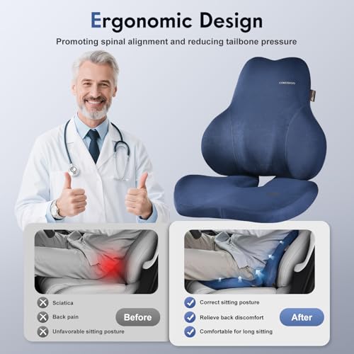Memory Foam Car Seat Cushion and Lumbar Support Pillow for Car (Blue / 2 Pieces)