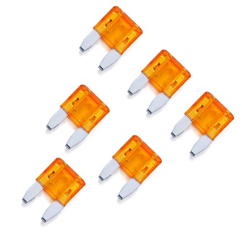 100 Pack Auto Fuses 5 AMP APM (5 AMP)