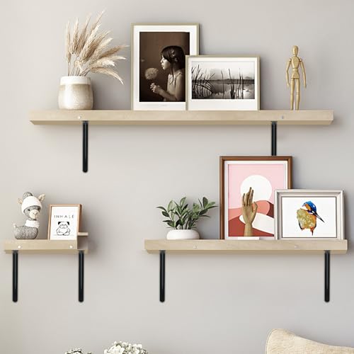 8 Pack L18 x H 12" Black Heavy Duty Shelf Brackets with Screws Metal Shelf Brackets Shelf Support Angle Brackets for Shelves L Brackets Heavy Duty Floating Shelf (8 Pack-Black / 18''x12'')