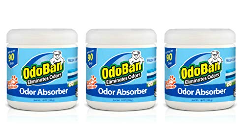 Solid Odor Absorber Eliminator for Home and Small Spaces (14 Ounce (Pack of 3))
