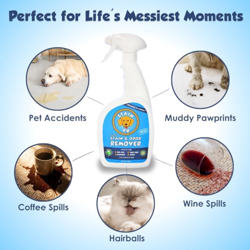 Pet Stain & Odor Remover (24 Fl Oz (Pack of 1))