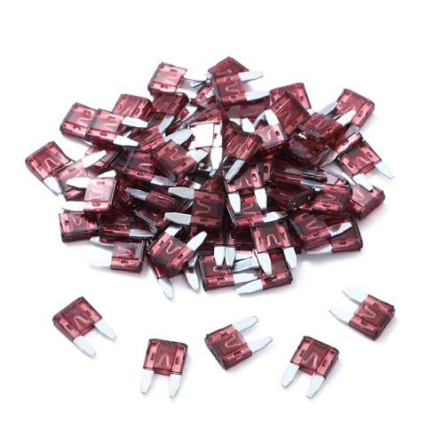 100 Pack Auto Fuses 40 AMP APM (40 AMP)
