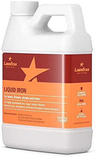 Liquid Iron 32 OZ (32 Oz (Pack of 1))