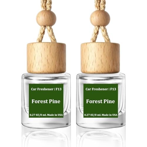 Car Air Freshener Diffuser 2 Pack Hanging Air Freshener Diffuser