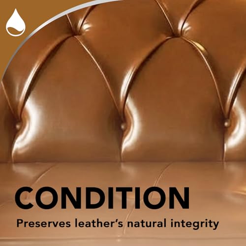 Leather Cleaner (11 Fl Oz (Pack of 2))