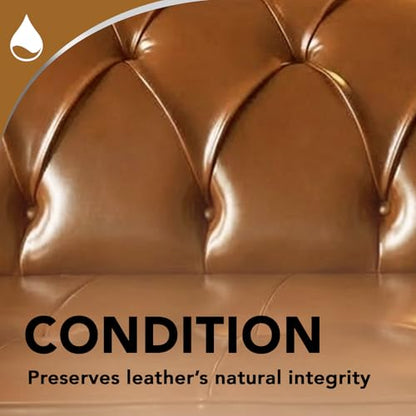 Leather Cleaner (11 Fl Oz (Pack of 2))