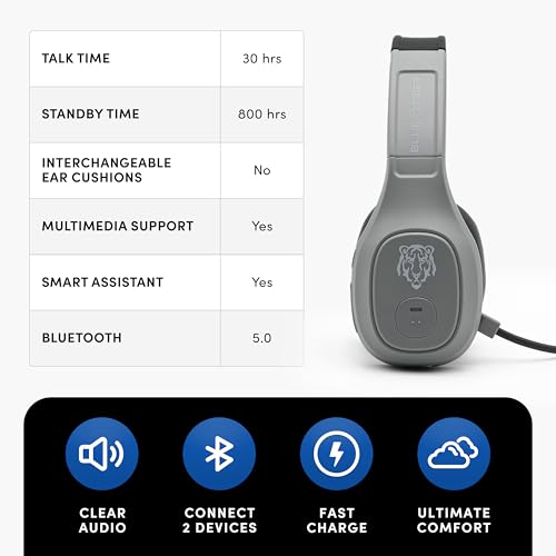 Storm Gray Wireless Trucker Bluetooth Headset with Mic (Gray / Storm)
