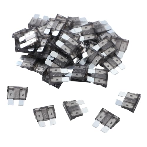 100 Pack Auto Fuses 2 AMP ATC (2 AMP)